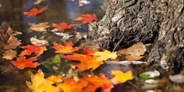 What to wear in Rome in November