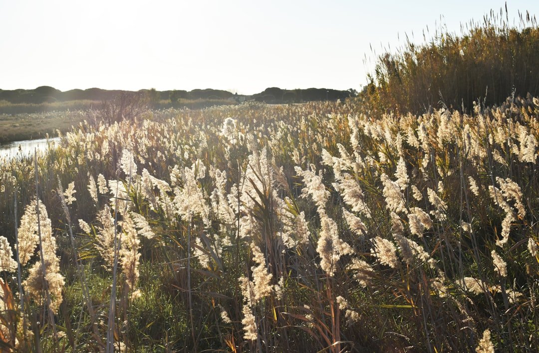 Can you recommend eco-friendly accommodations in Tuscany?