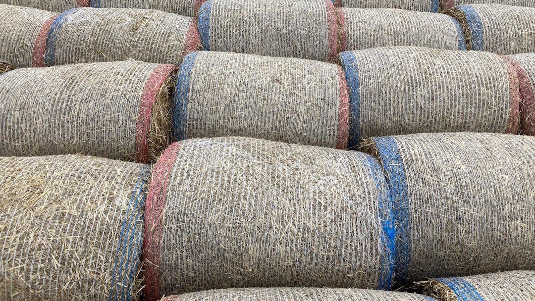 What are some traditional Tuscan festivals in spring?