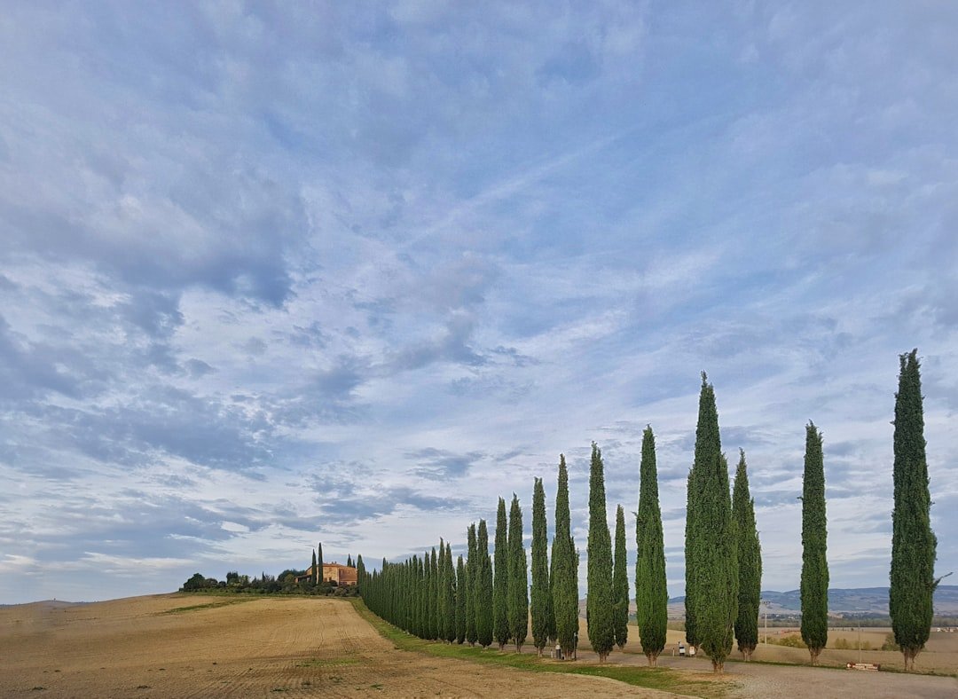 Where to find the most scenic cycling routes in Tuscany?