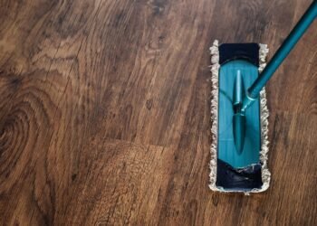 How to Prevent Ant and Roach Infestations in Florida Kitchens This August