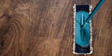 How to Prevent Ant and Roach Infestations in Florida Kitchens This August